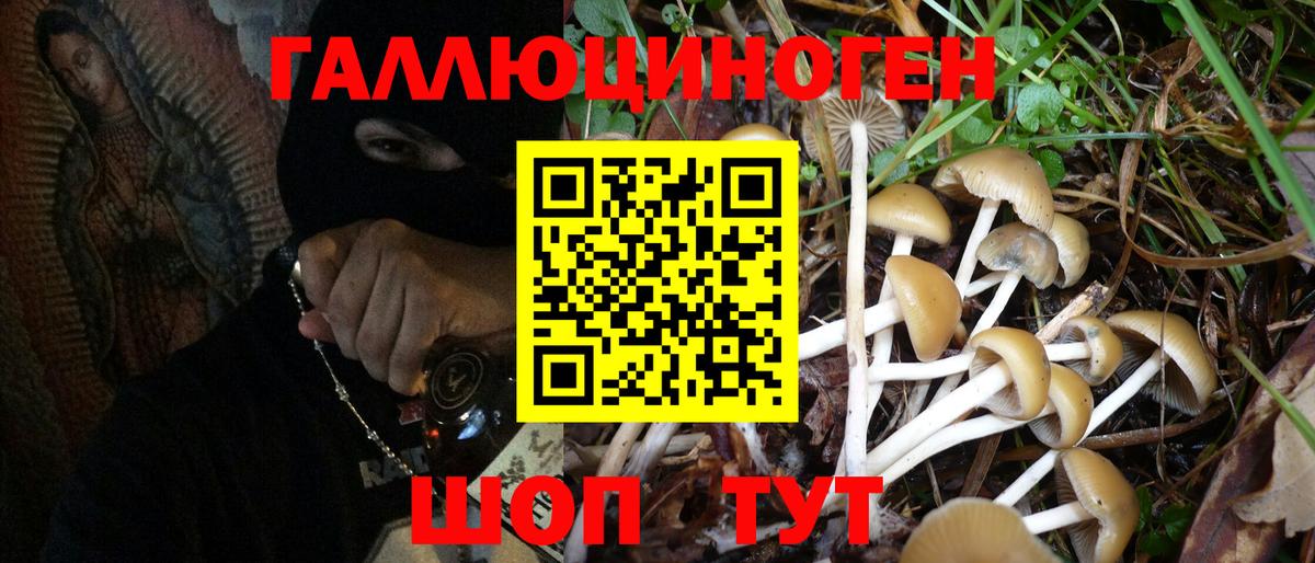Псилоцибиновые грибы ЛСД Унеча