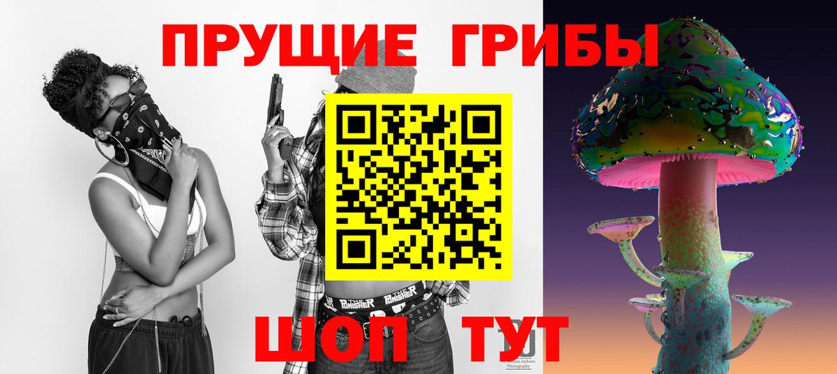 где можно купить наркотик  Псилоцибиновые грибы MAGIC MUSHROOMS  Вход с VPN  Унеча 